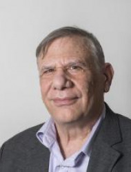 גדי וולפספלד